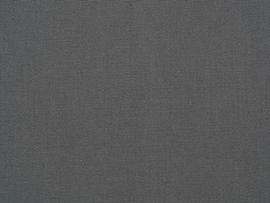 เสื้อเชิ้ต Value Twill